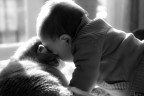 Imiei cuccioli Imiei cuccioli