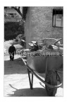 VITA RURALE - fine di una giornata VITA RURALE - fine di una giornata