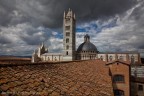 sui tetti di Siena sui tetti di Siena