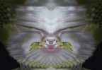 sguardo orientale