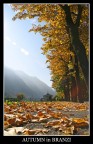 Autumn in Branzi Autumn in Branzi