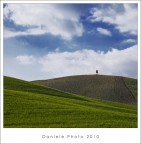 ..forse comincia la primavera... ..forse comincia la primavera...