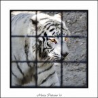 Vita al Gabbio Vita al Gabbio