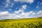 Toscana Toscana