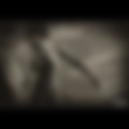 ..in the wind ..in the wind