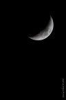 Il sorriso della luna Il sorriso della luna