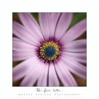 Per fare tutto... Per fare tutto...