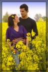 Coppia in campo di colza Coppia in campo di colza