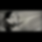 ..in the wind #2 ..in the wind #2