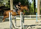 l'allenamento l'allenamento