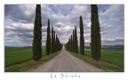La Strada La Strada