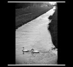 lungo il fiume.... lungo il fiume....