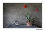11:16 am 11:16 am