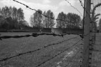Auschwitz II - Birkenau (Polonia) - 14 Maggio 2005 ore 11.44