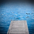 arriverà... arriverà...