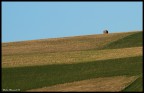 Colline Umbre Colline Umbre