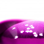 Essential Love Essential Love