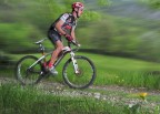 MTB RACE 2010 MTB RACE 2010
