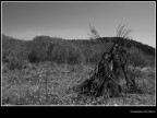 Desolazione