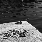 marsiglia#2 marsiglia#2