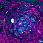 beyond-0055 beyond-0055