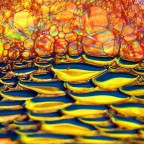 beyond-0095 beyond-0095