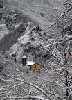 La chiesa tra i monti( versione invernale ) La chiesa tra i monti( versione invernale )