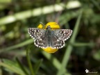 Una macro senza macro