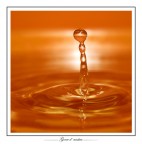 gocce d'ambra gocce d'ambra