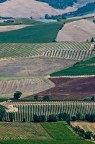 Scattata da Montalcino, Agosto 2009