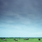 atom heart mother atom heart mother