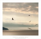 Da Palmaria Da Palmaria