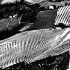 Come Giacomelli l'avrebbe visto Come Giacomelli l'avrebbe visto