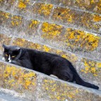 guardami negli occhi guardami negli occhi