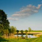 Campagna ferrarese Campagna ferrarese