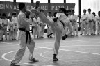 Karate 
stile Wado Ryu 
Pro Patria Milano 
dimostrazione cinture avanzate