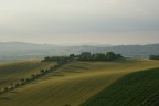 Verso Castelfidardo Verso Castelfidardo