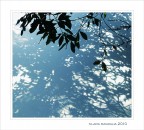 Svelami un segreto... Svelami un segreto...