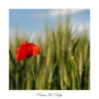 Prima & Dopo Prima & Dopo