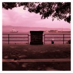 Per non dimenticare, Per non dimenticare,