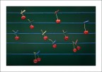 Cherry-music Cherry-music