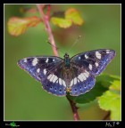 Salvare uno scatto..... Salvare uno scatto.....