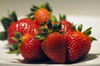 FRAGOLE FRAGOLE