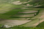 Energia verde