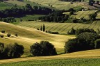 Campagna marchigiana Campagna marchigiana