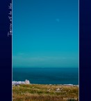 Tomorrow will be blue Tomorrow will be blue