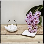 Teapot and Orchids Teapot and Orchids