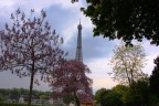 Torre Eiffel in fiore Torre Eiffel in fiore