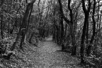 Il passaggio Il passaggio
