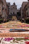 Infiorata Genzano Infiorata Genzano